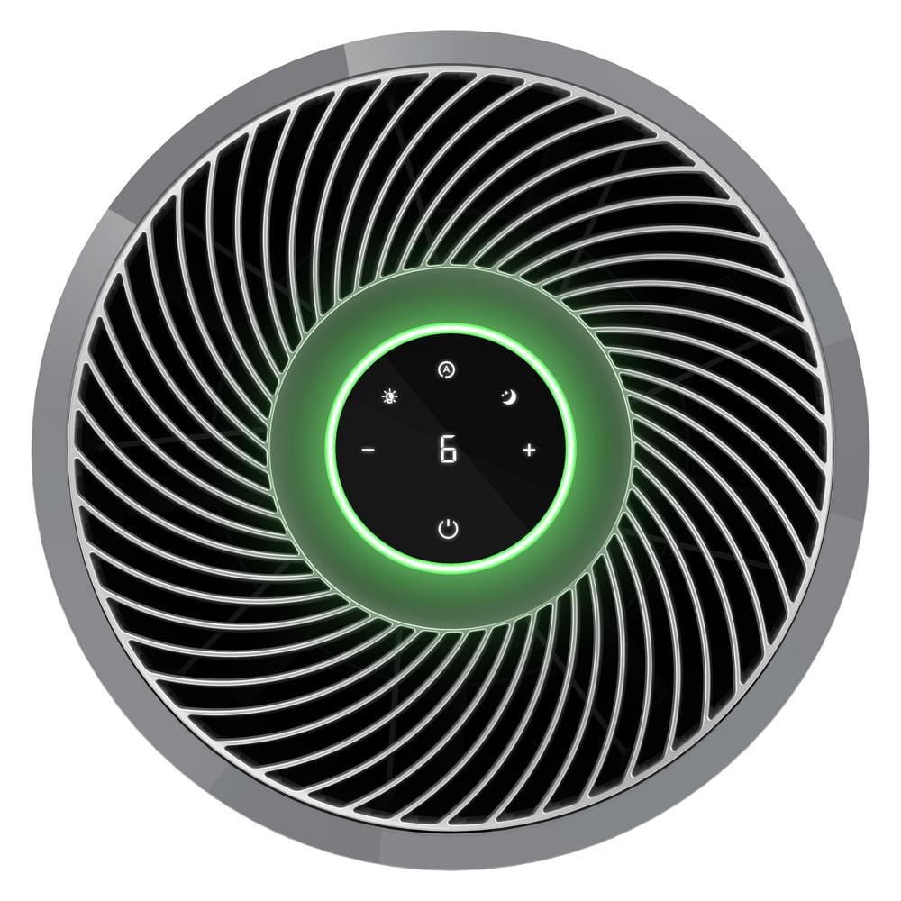 Gray HEPA Air Purifier with Odor Absorbing Filter