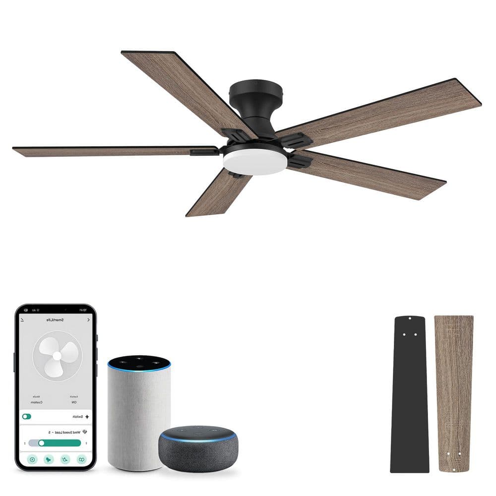52 in. Standard Black Smart Flush Mount Gold Indoor/Outdoor Ceiling Fan with LED Lights,Works with Alexa Remote Control