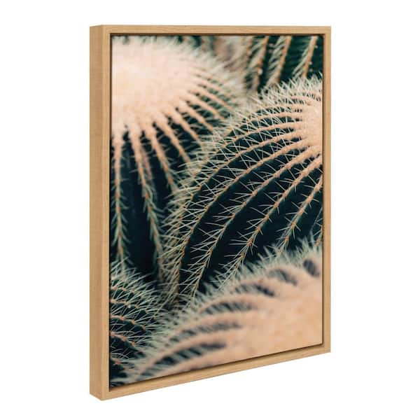Kate and Laurel Sylvie Barrel Cactus Framed Canvas by Alicia Bock Set of 1 Nature Art Print 18.00 in. x 24.00 in.