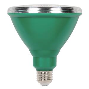100W Equivalent Green PAR38 LED Weatherproof Flood Light Bulb