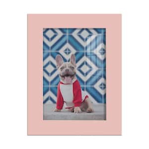 Modern 3.5 in. x 5 in. Pink Picture Frame