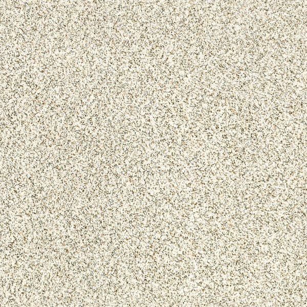 Lifeproof 8 in. x 8 in. Texture Carpet Sample Madeline II Color