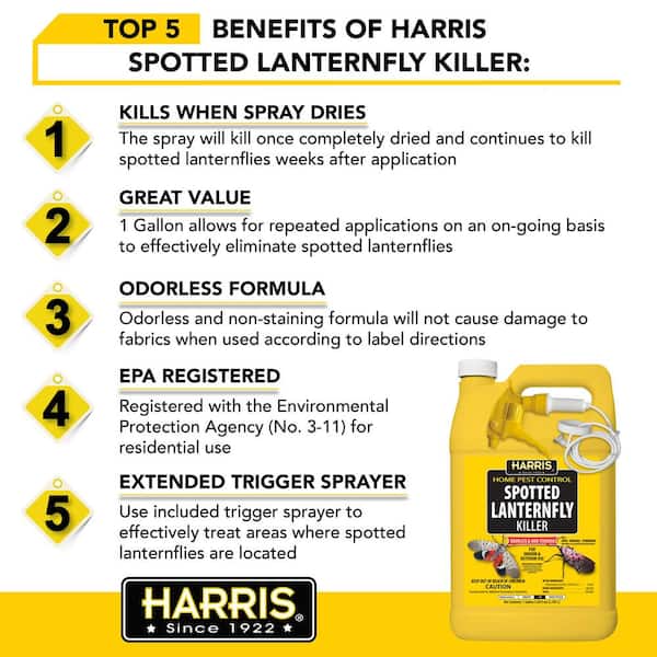 Harris Fruit Fly Drain Treatment Gel (128 fl.oz)