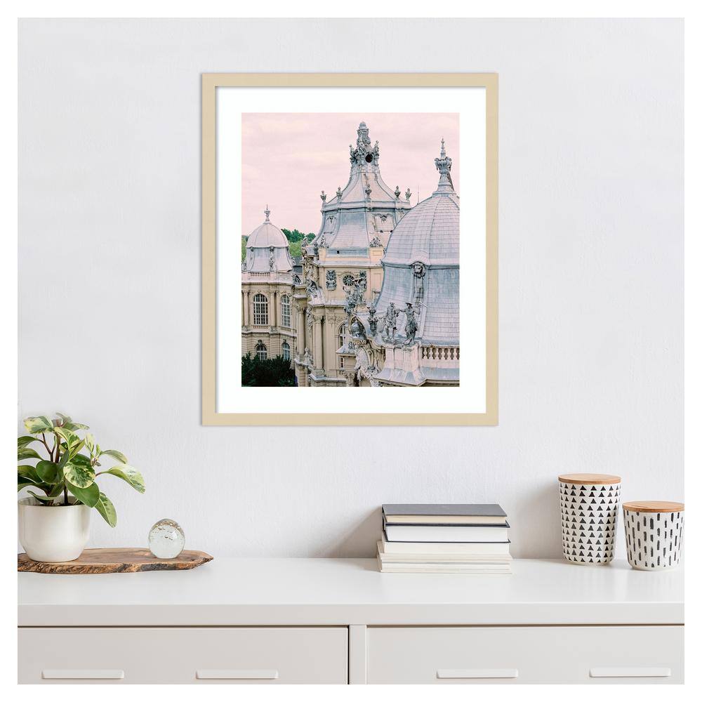Paris Rooftops II Svelte Natural Framed Photography Print