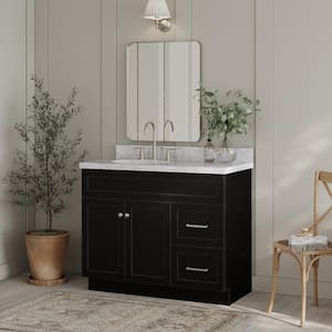 Hamlet 42 in. W x 21.5 in. D x 34.5 in. H Freestanding Bath Vanity Cabinet without Top in Black