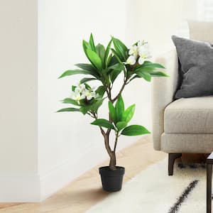 3 ft. Real Touch Cream White Artificial Plumeria Tree Tropical Plant in Pot