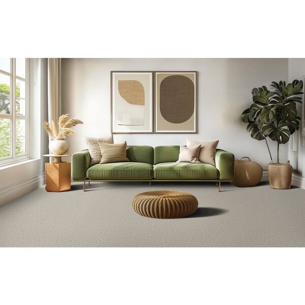 Home Decorators Collection Vignette Velvet I Homestead Gray 47 oz