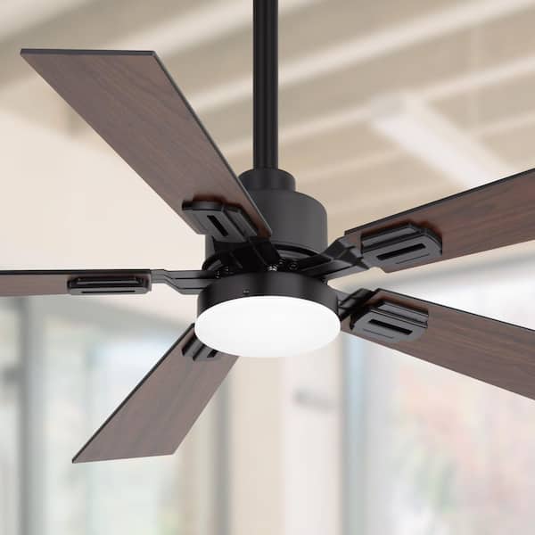 Kormo 2-Pack 42 in. Indoor Black Ceiling Fan with Integrated LED Light and Remote Included