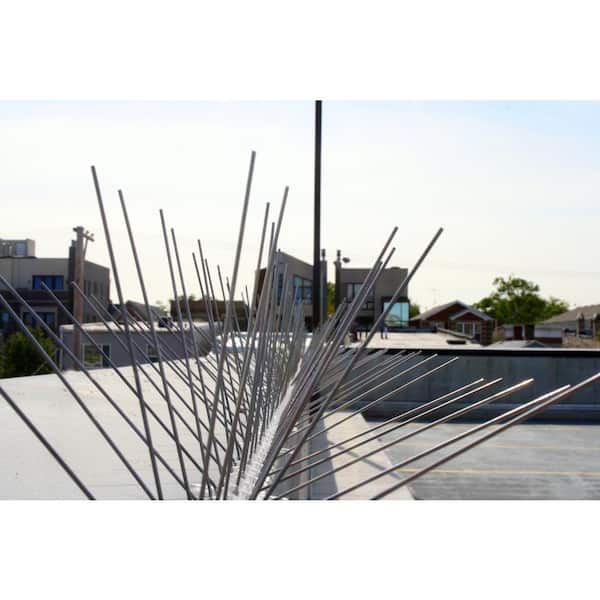 BirdBusters Stainless Steel Bird Spikes covers 4' Bird Control X-wide ledges 