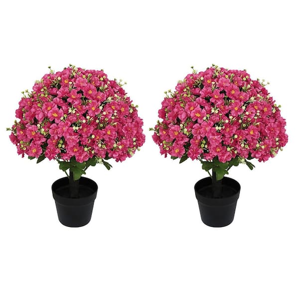 decorative succulent pots Bubble Plant Pot