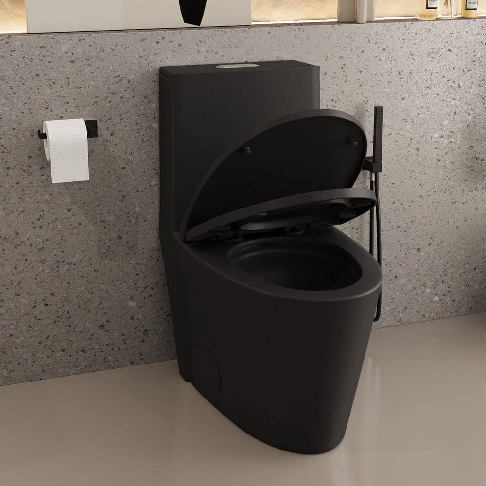 Matte Black Ceramic Dual Flush Elongated One-Piece Toilet