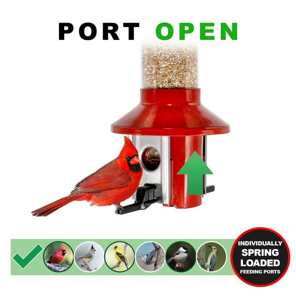 Red Metal and Plastic Squirrel Resistant Hanging Tube Bird Feeder