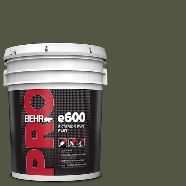 BEHR PRO 5 gal. #ECC-37-3 Freshwater Marsh Flat Exterior Paint