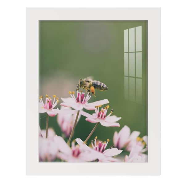 Wexford Home Modern 8 in. x 10 in. White Picture Frame