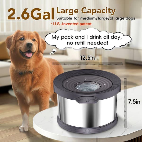 Dog Water Bowl No Spill 10L Stainless Steel 2.6 Gallon Large Capacity Spill-Proof Non-Slip Anti-Splash Bowl Gray 768PH01222D