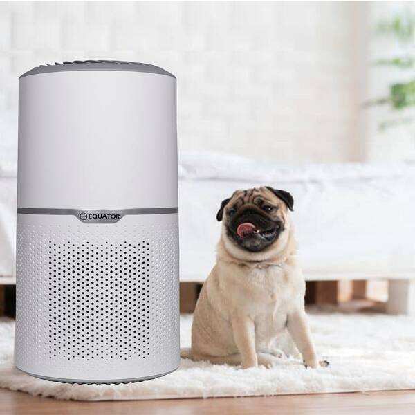 Equator HEPA Air Purifier Pet Option Ion Smoke Remover 269sf 110V