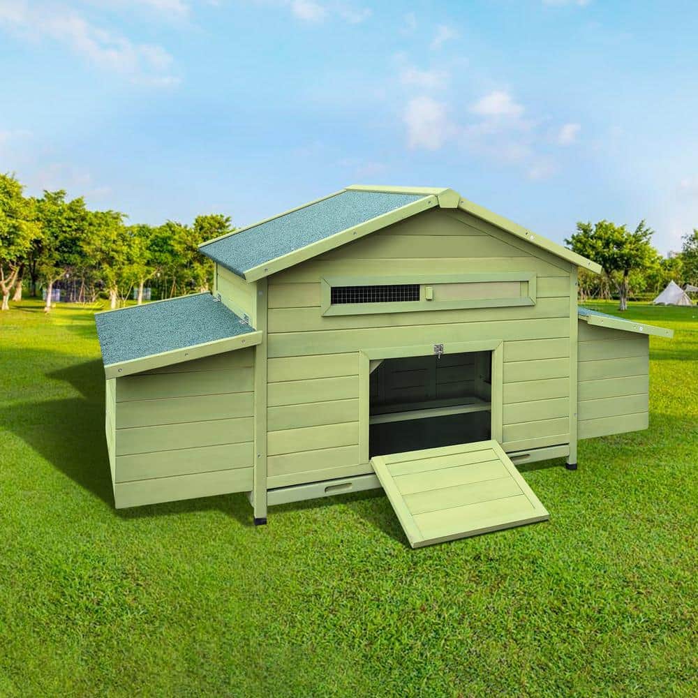 Green Wooden Chicken Coop with Nesting Boxes and Free-Range Doors