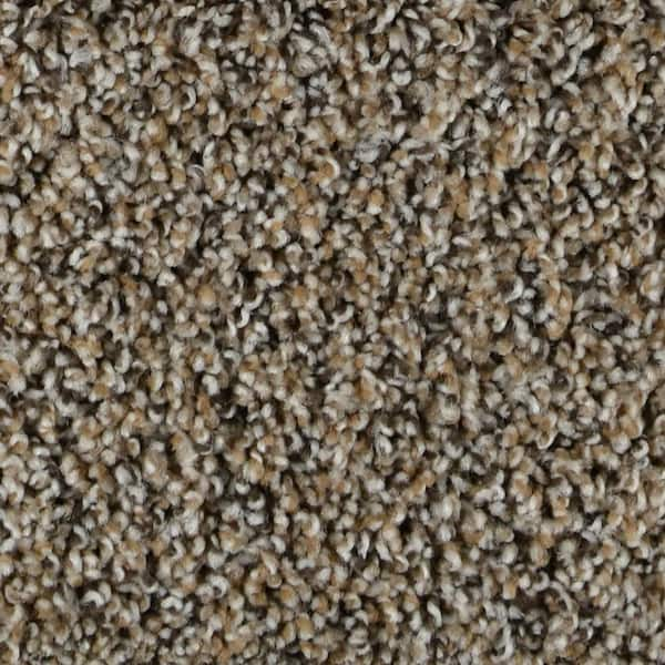 TrafficMaster Captain  - Rochester - Brown 35 oz. SD Polyester Texture Installed Carpet