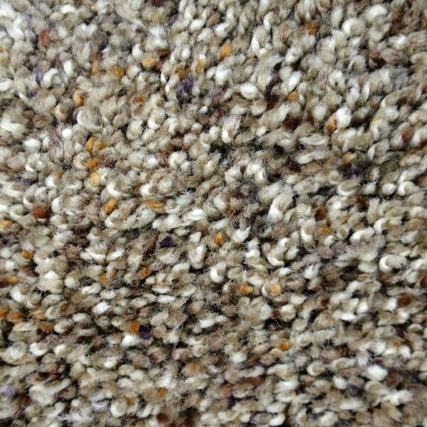 Lifeproof Carpet Sample - Lavish Image I - Color Joelton Texture 8 in. x 8 in.