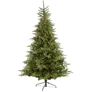 8 ft. Pre-Lit North Carolina Spruce Artificial Christmas Tree with 650 Clear Lights