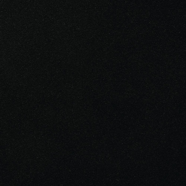 Dayside Ebony 6 ft. SD Polyester Texture Indoor/Outdoor Needlepunch Carpet