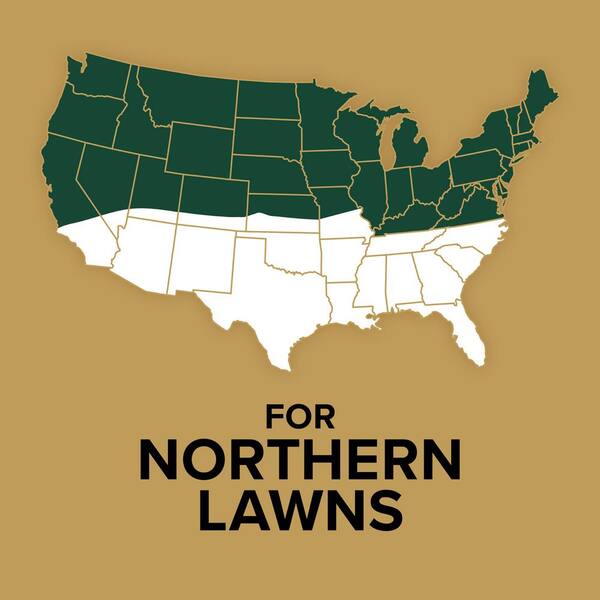 EZ Seed Patch and Repair 10 lb. Sun and Shade Grass Seed
