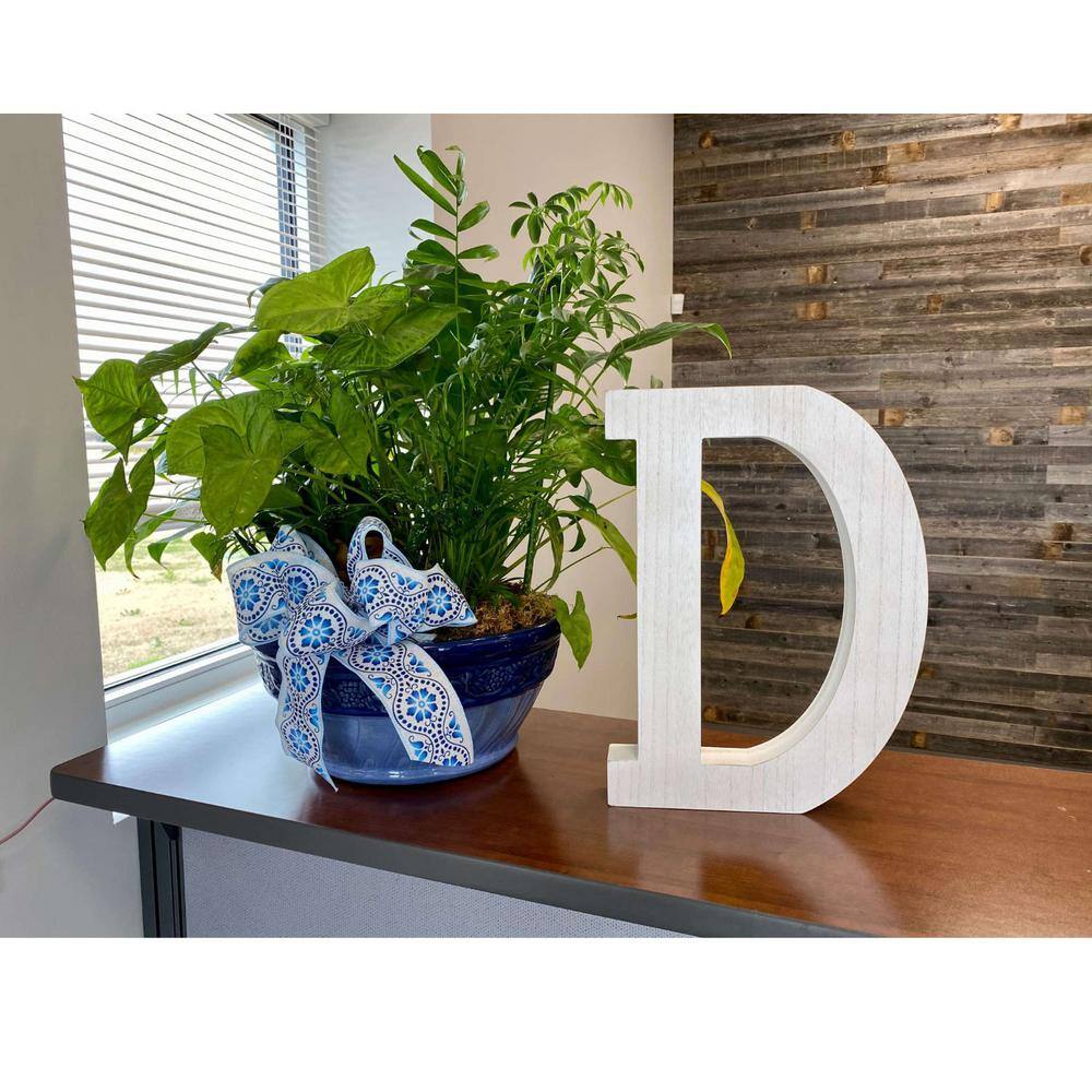 16 in. Distressed White Wash Wooden Initial Letter D Specialty Sculpture price history on PriceWatchPro
