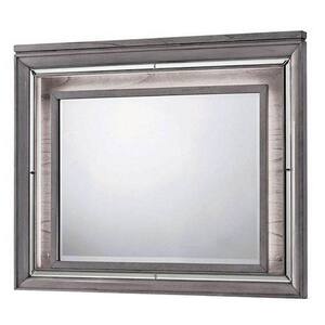 49.5 in. x 38.75 in. Modern Rectangle Framed Light Gray Wooden Contemporary Decorative Mirror with LED