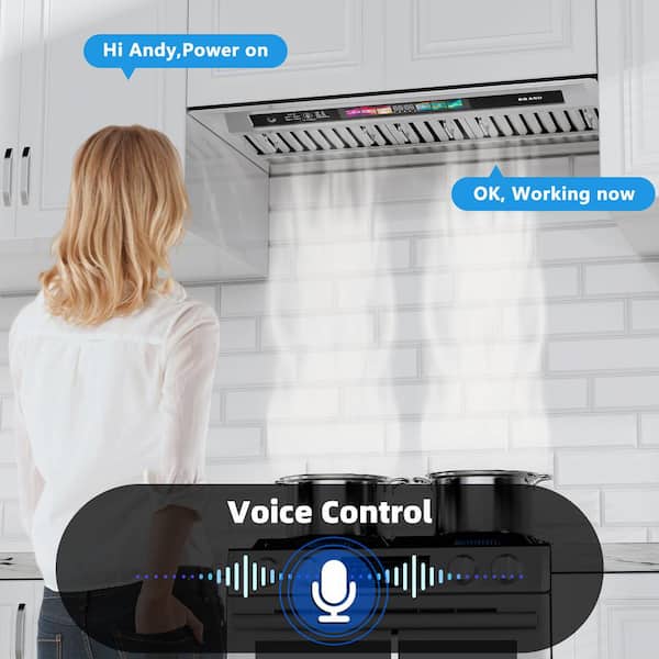 36 Inch Insert Range Hood with Voice/Gesture/Touch Control, 900 CFM Built-in Kitchen Hood Vent with 4 Speed Exhaust Fan