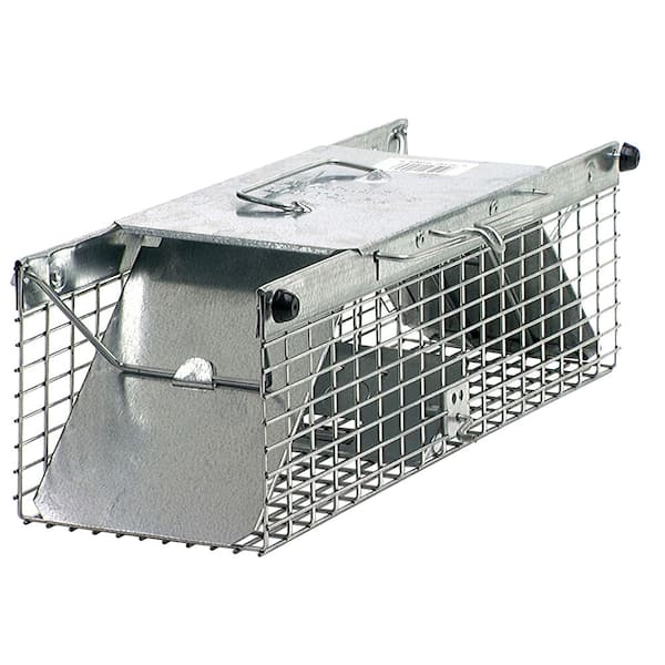 Havahart Small 2-Door Professional Humane Catch-and-Release Live Animal Cage Trap for Rat, Squirrel, Chipmunk, and Weasel