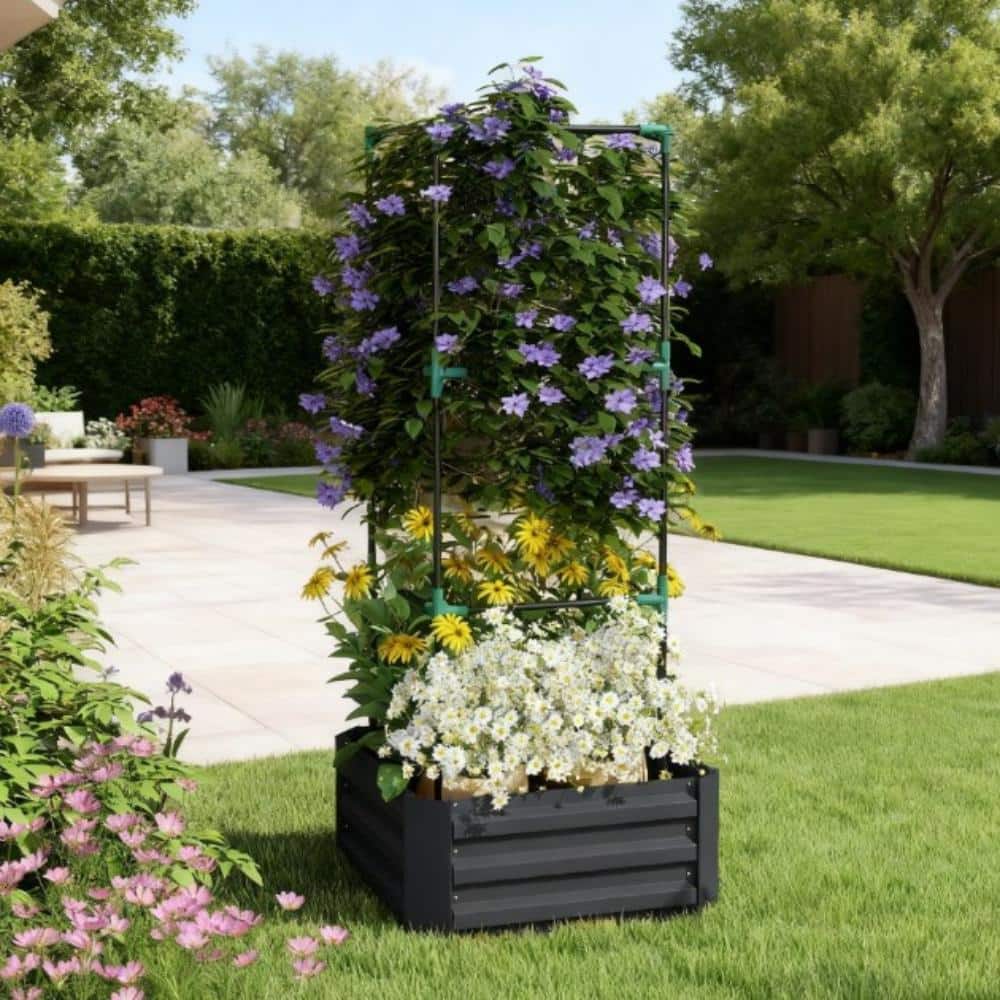 Raised Garden Bed,Garden Bed,Galvanized Planter Box with Cage for Climbing Vines price history on PriceWatchPro