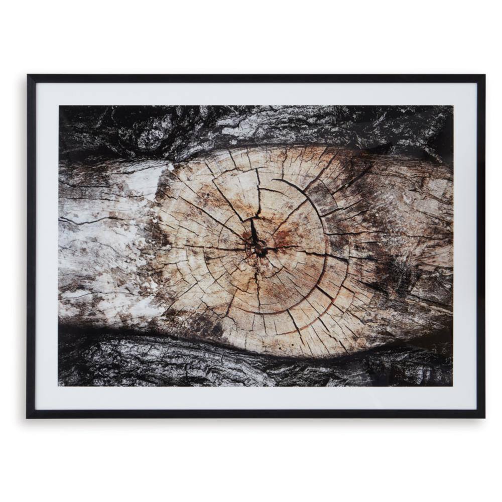 Freyburn 40" Black and Brown Tree Wall Art