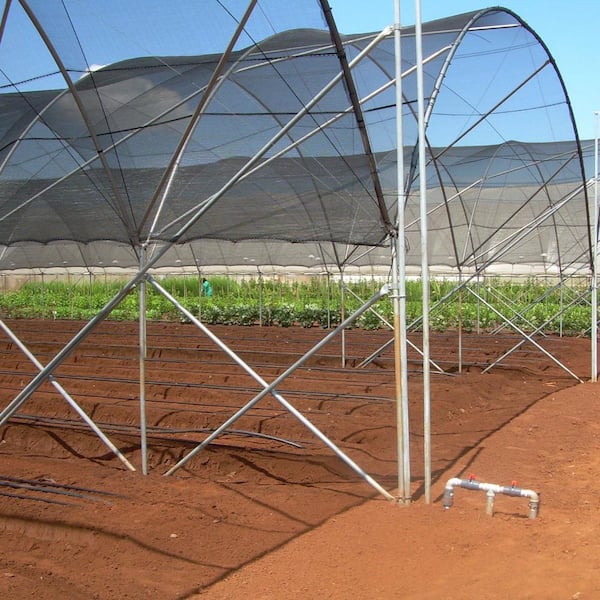 Agfabric - 6 ft. x 10 ft. Black 50% Sunblock Shade Cloth Edge-Cut with Free Clips for Plant Cover Greenhouse