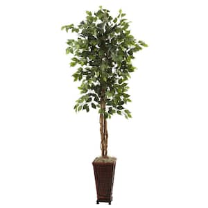 6.5 ft. Artificial Ficus with Decorative Planter