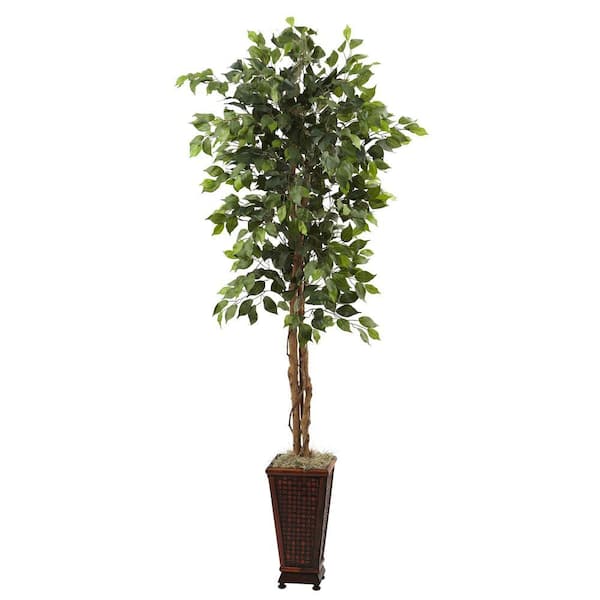 6.5-ft Ficus Tree with Slate Planter UV Resistant (Indoor Outd, 1