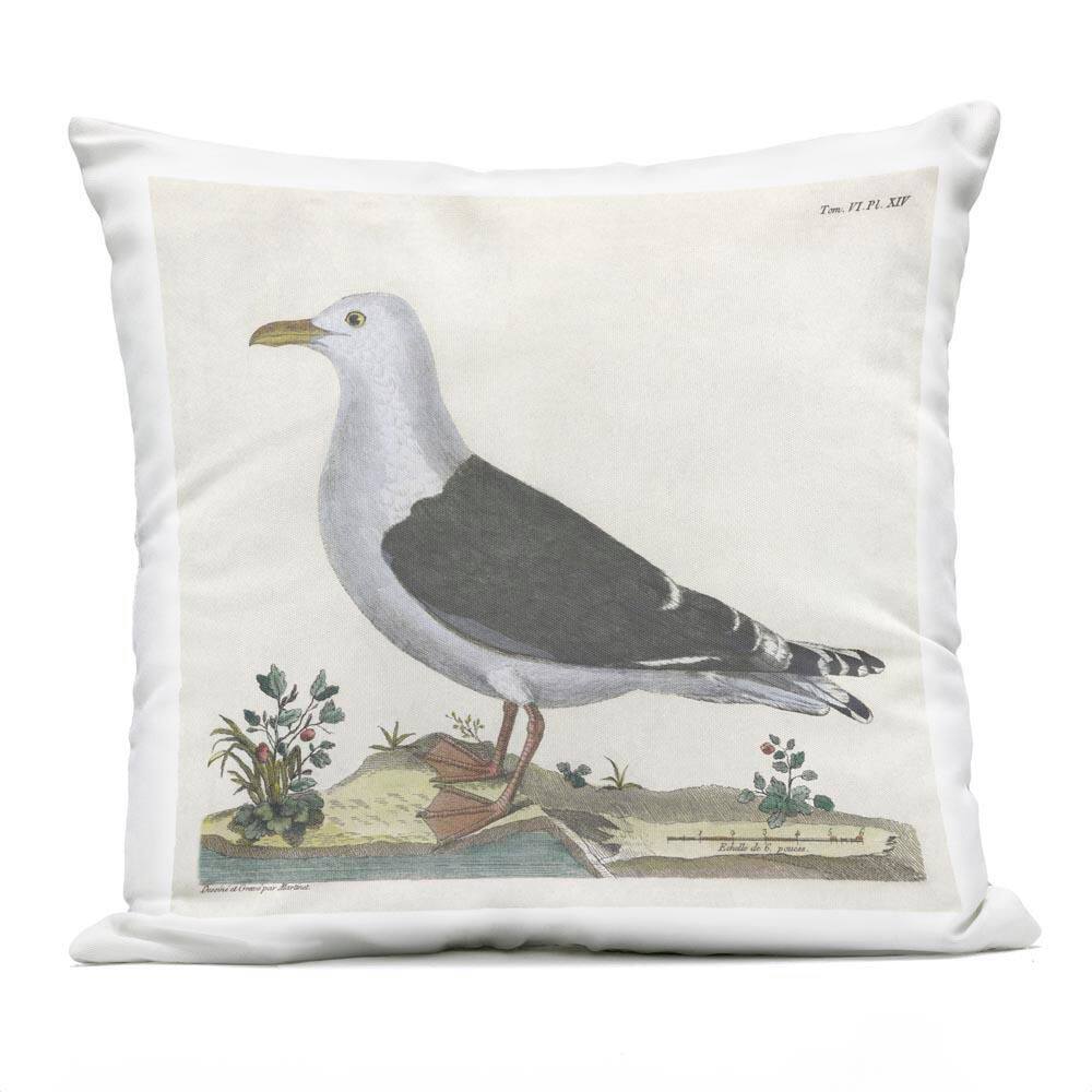 Vintage Seagull Study Diagram Grey Square Outdoor Throw Pillow price history on PriceWatchPro