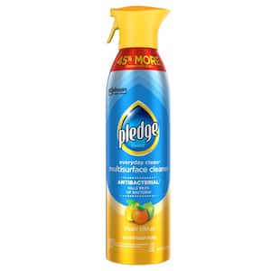 14.2 oz. Fresh Citrus Antibacterial All-Purpose Cleaner Spray (2-Pack)