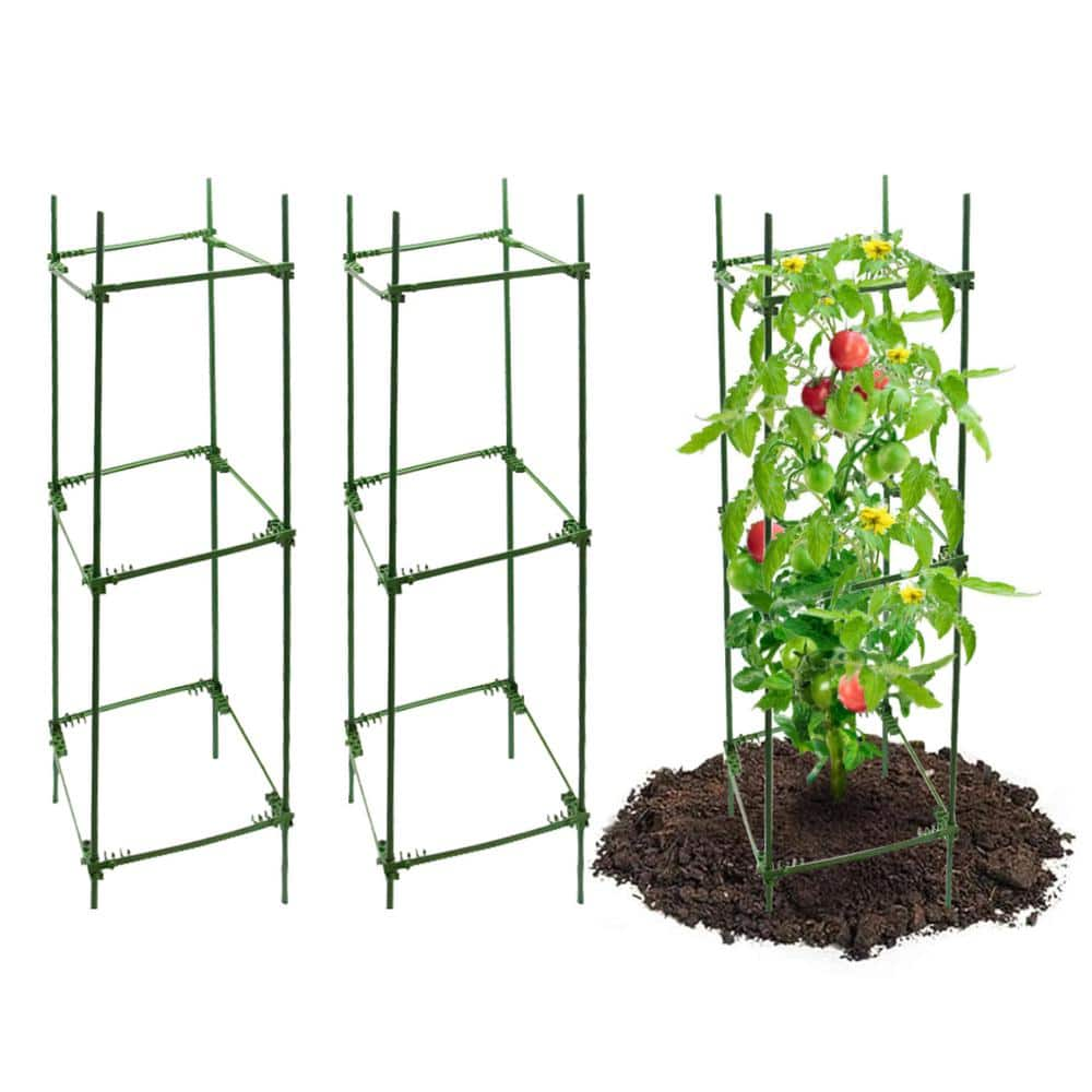 Ecostake 5 Ft Tomato Cage Plastic Coated Steel Adjustable Plant Support   Tomato Cages Tcs1260p3 64 1000 