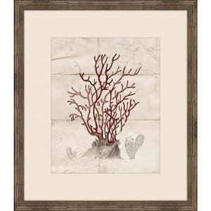 Gorgone Ancien IV Framed Giclee Coastal Art Print 27 in. x 31 in.