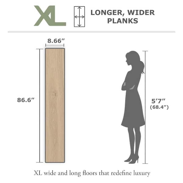 ASPEN FLOORING Take Home Sample - Dormer European White Oak Water