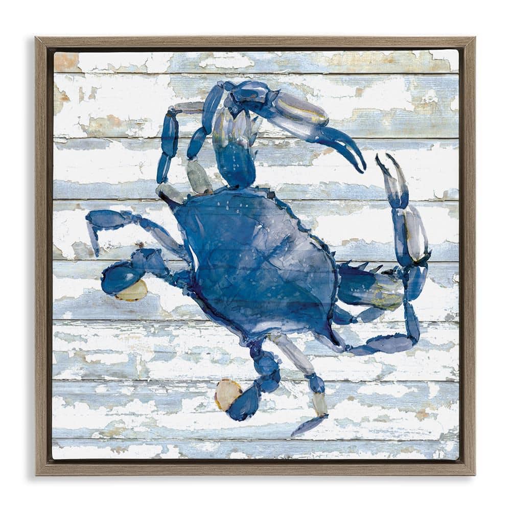 Blue Crab on Distressed by Jessie Perry Brown Floater Frame Animal Graphic Art Print 25 in. x 25 in. price history on PriceWatchPro
