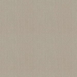 Boxton - Stonewashed - Beige 32.7 oz. Nylon Pattern Installed Carpet
