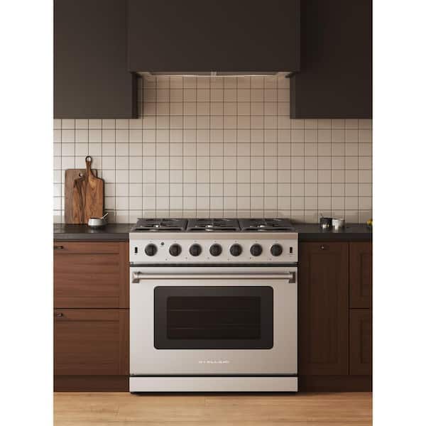 36 in. 6-Burners 6 cu. ft. Freestanding Professional Gas Range in Stainless Steel with Convection Oven and Drawer
