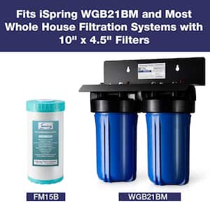 Iron and Manganese Reducing 10 in. x 4.5 in. Whole House Water Filtration System Replacement Water Filter