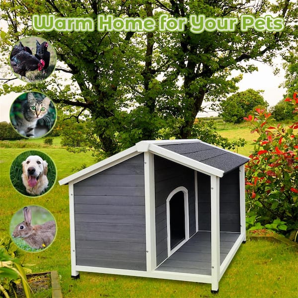 Warm outdoor hotsell dog kennels