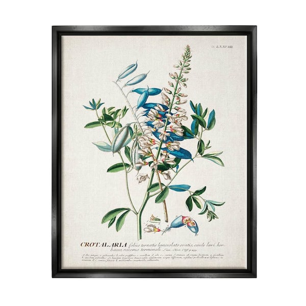 The Stupell Home Decor Collection Botanical Plant Illustration Flowers And Leaves by World Art Group Floater Frame Nature Wall Art Print 21 in. x 17 in. .