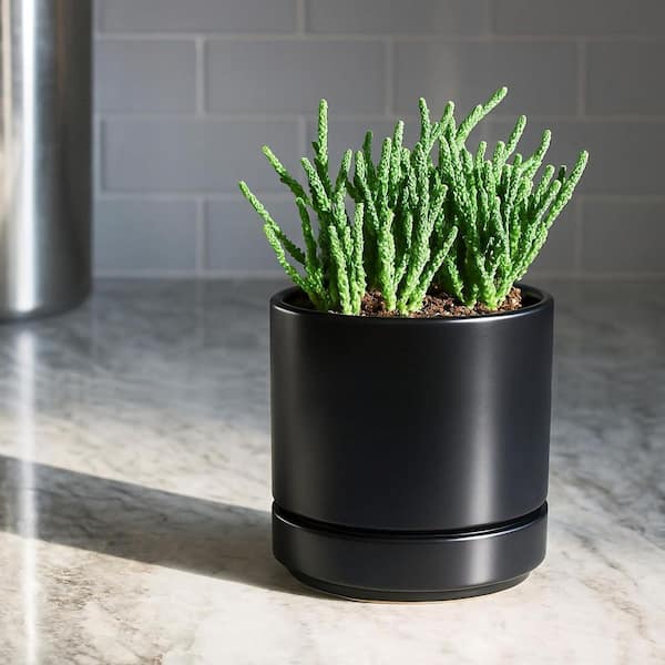 Small Black Ceramic Indoor/Outdoor Planter with Saucer (4.7 in. W