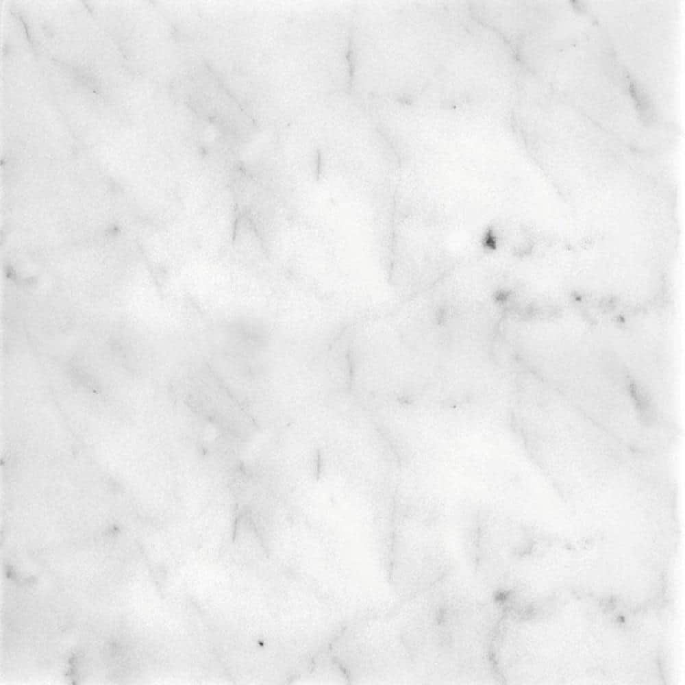 Gray 4 in. x 5 in. Polished Marble Mosaic Tile Sample (0.13 sq. ft./Piece) price history on PriceWatchPro