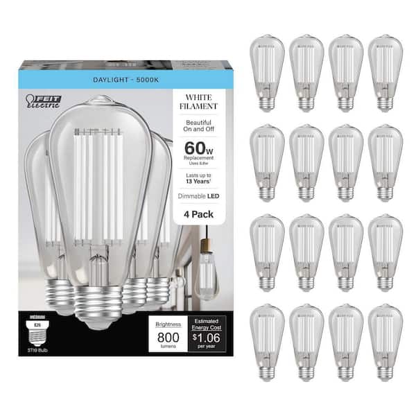60-Watt Equivalent ST19 Dimmable White Filament Clear Glass E26 Vintage Edison LED Light Bulb, Daylight 5000K (16-Pack)