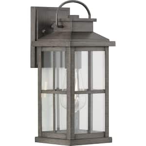 Williamston 1-Light Antique Pewter Clear Glass Farmhouse Outdoor Medium Wall Lantern Light